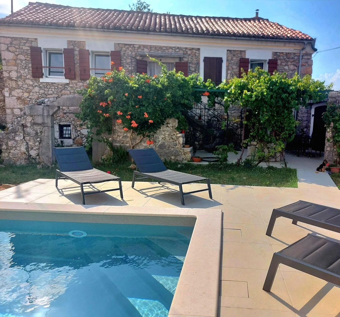 The house with red shutters and a flowering vine above the pool steps