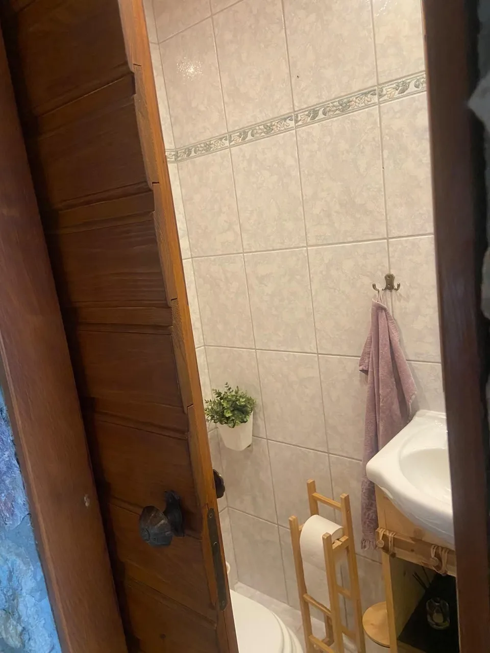 The ground-floor WC through its wooden door